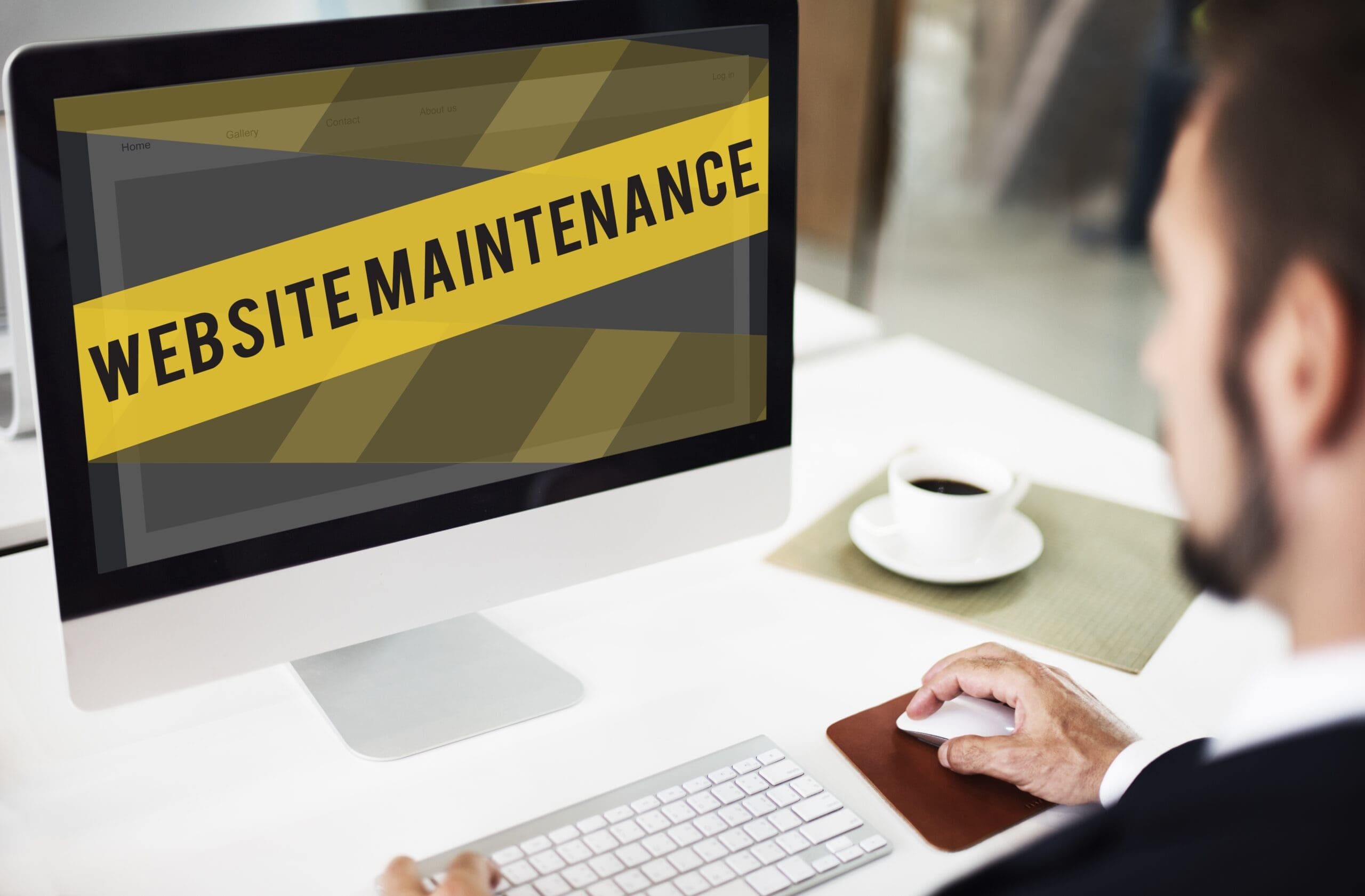 website maintenance & security